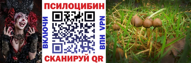 Псилоцибиновые грибы мухоморы  Окуловка 